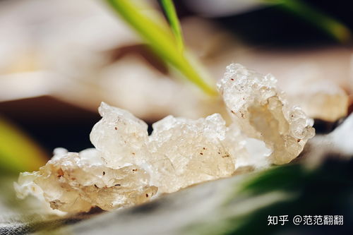 雪燕購(gòu)買(mǎi)指南 品牌推薦與購(gòu)買(mǎi)途徑詳解
